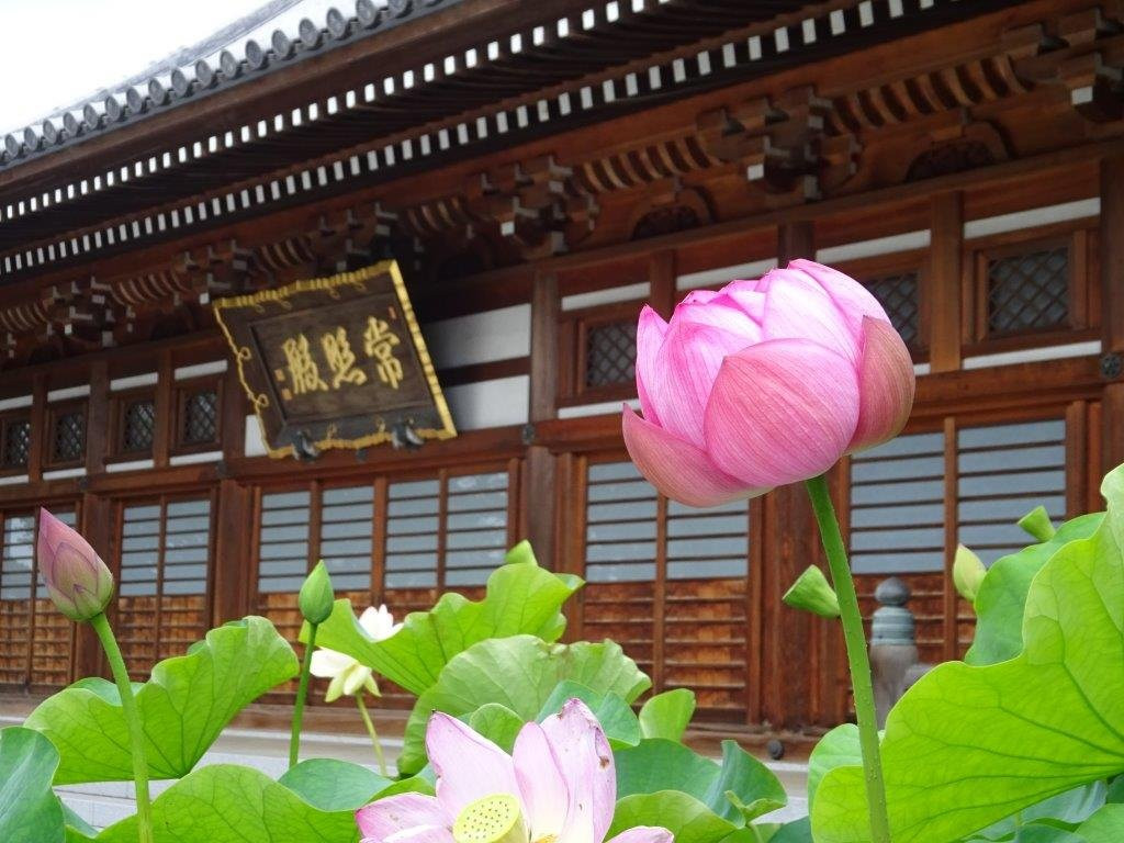 Fusaiji Temple-立川市必去景点