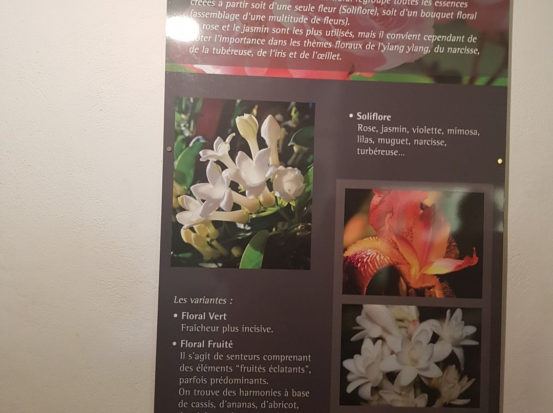 Parfumerie Galimard-埃兹必去景点