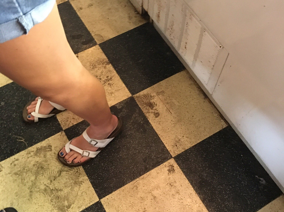 Chocolate Museum-Put in Bay必去景点