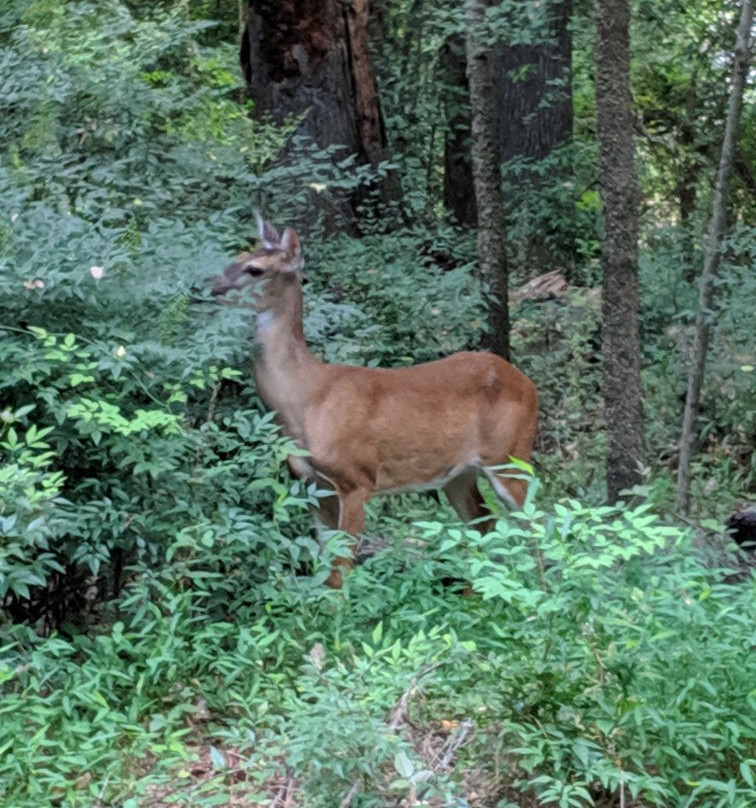 North Augusta Greenway Trail-North Augusta必去景点