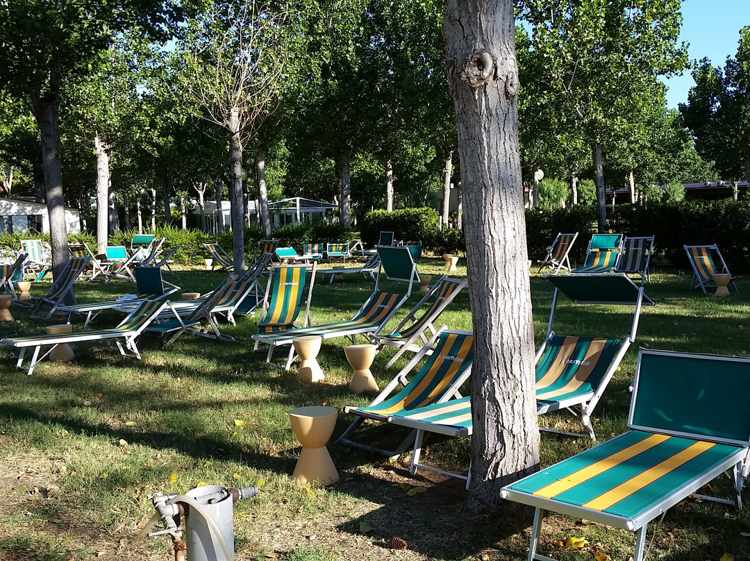 Villaggio Albatros - Puglia主图