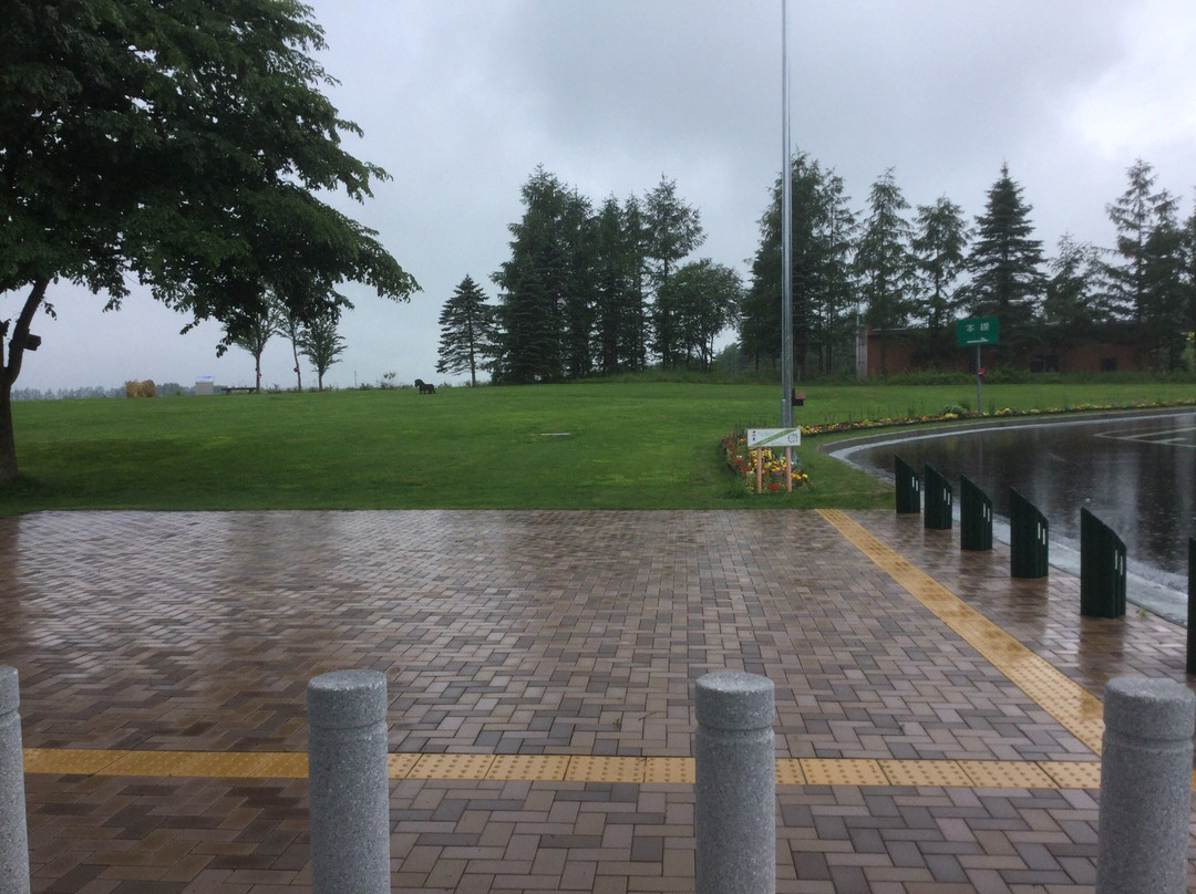 Tokachiheigen Service Area Inbound-芽室町必去景点
