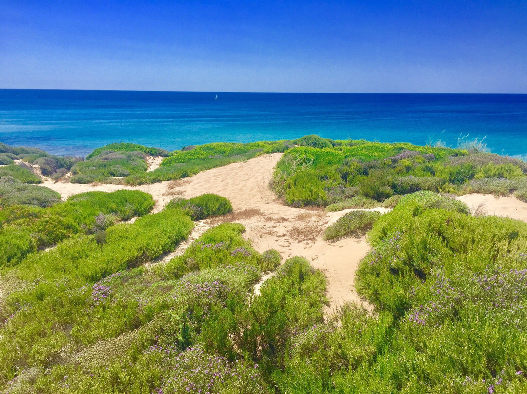 Dune di Campomarino景点图片