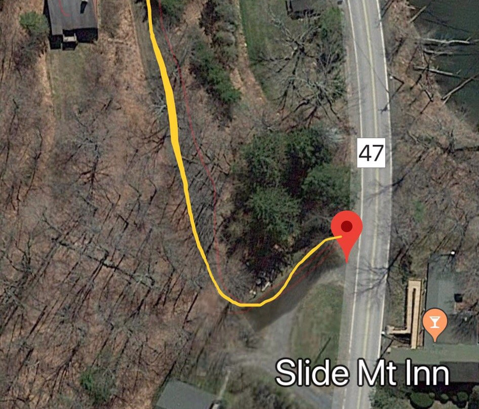 Slide Mountain Forest House主图