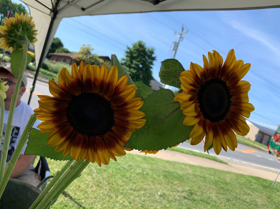 Asbury Church Farmers Market景点图片