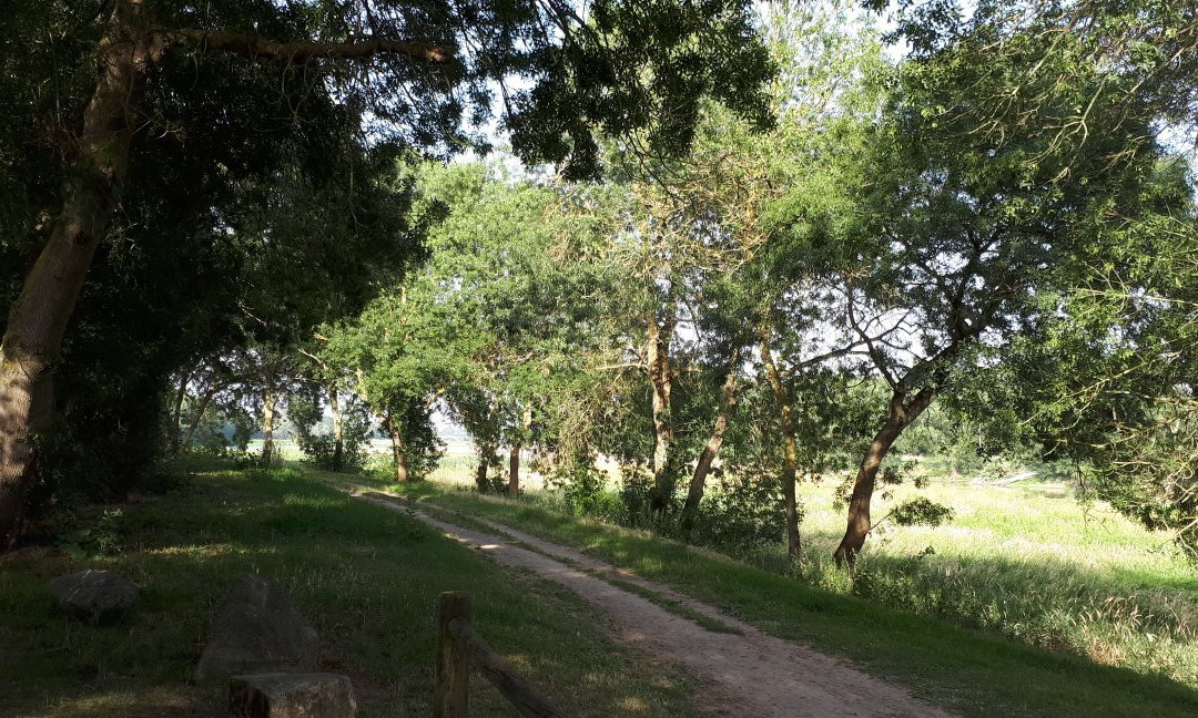 Camping Municipal Le Grand Jard
