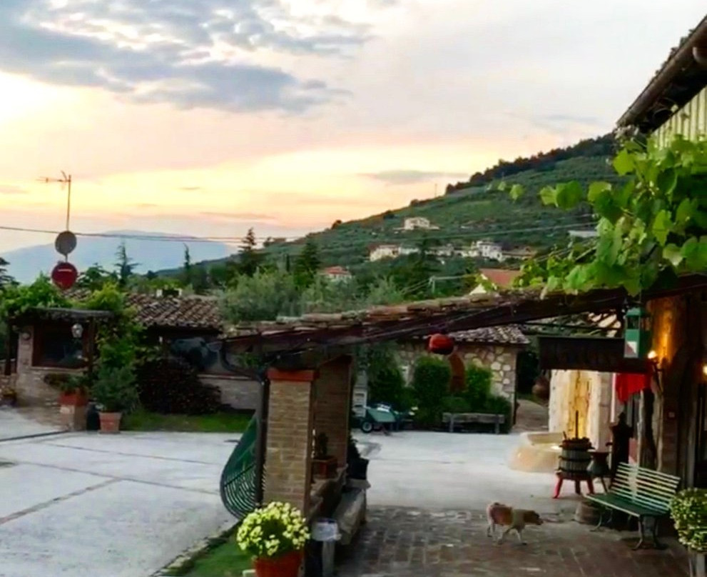 Il Borgo dell'Ulivo主图