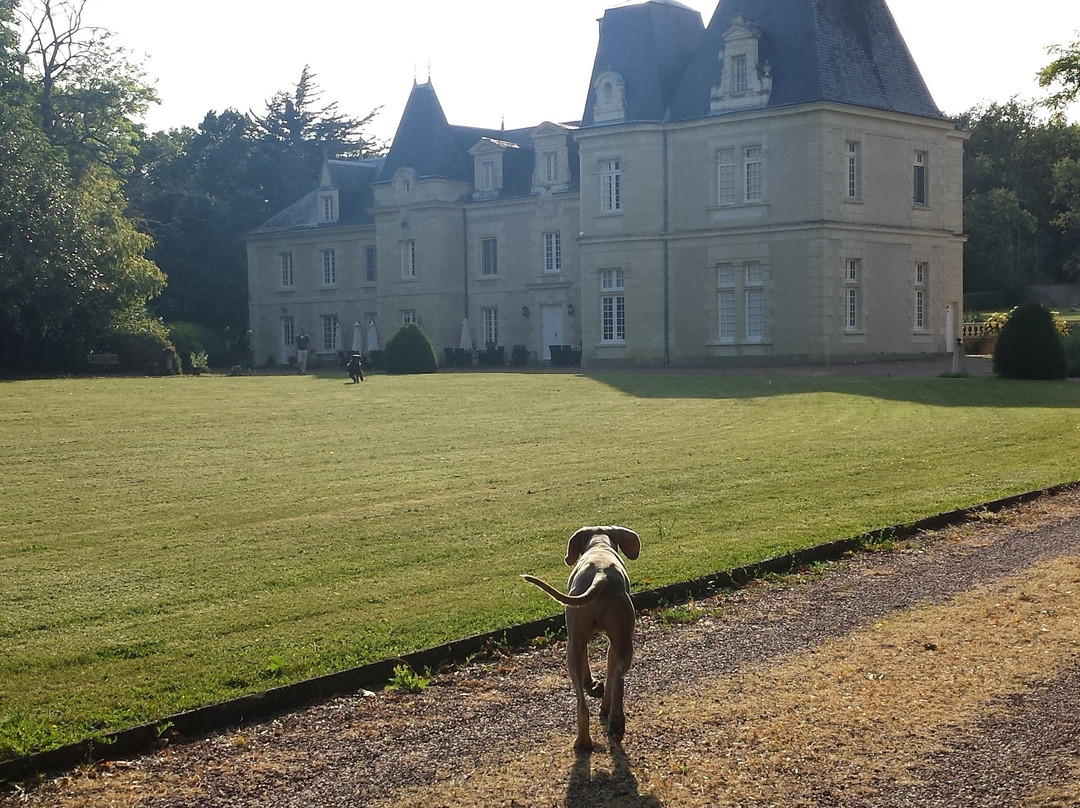 Chateau de Jalnay主图