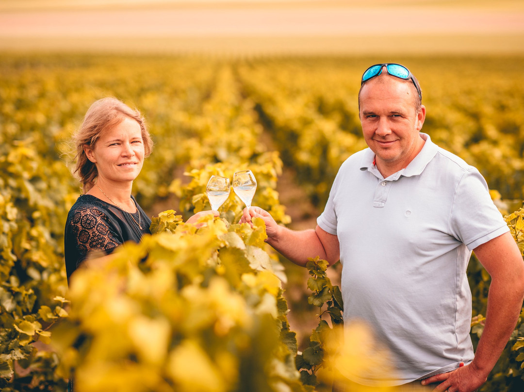 Champagne Lamiable-Tours-sur-Marne必去景点