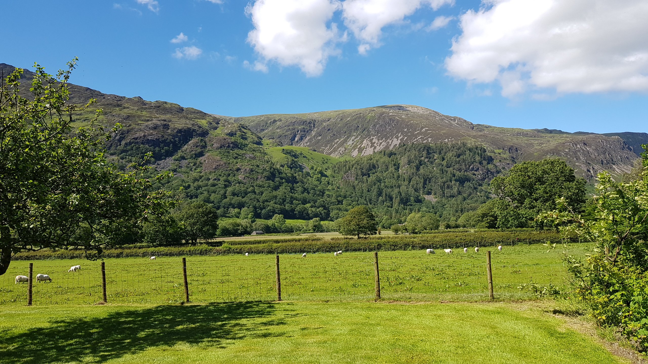 Dolffanog Fawr-酒店景观