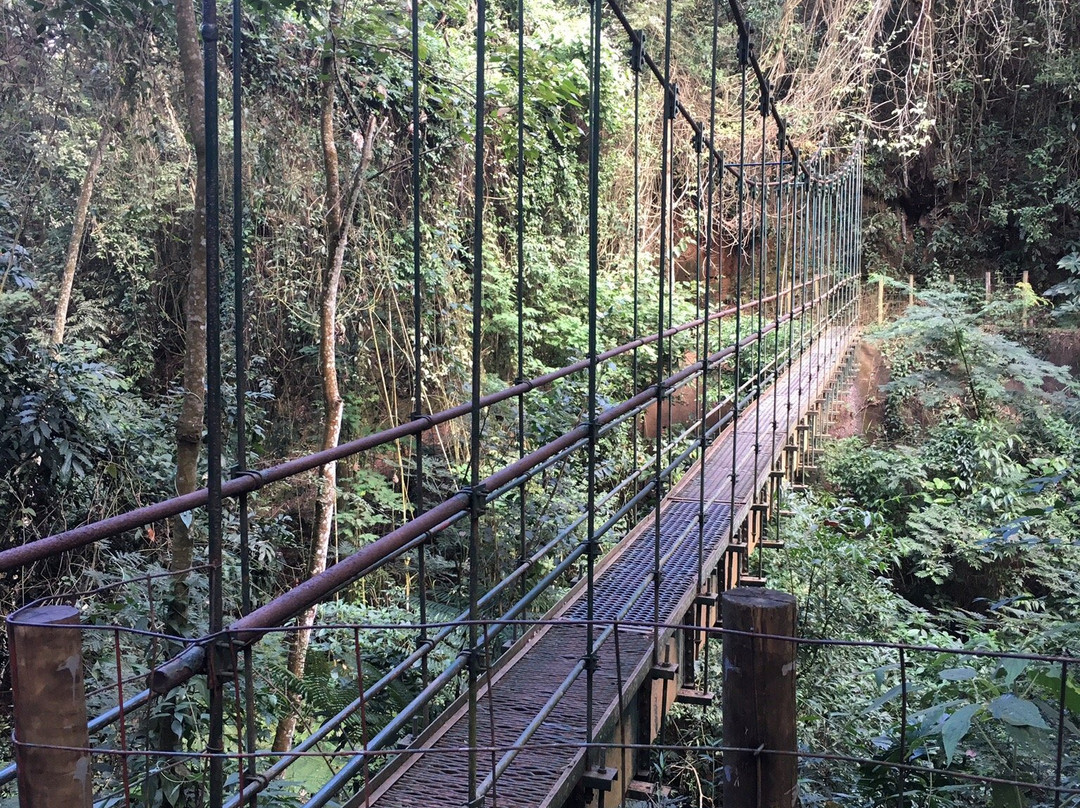 Parque Ecológico Rego dos Carrapatos景点图片