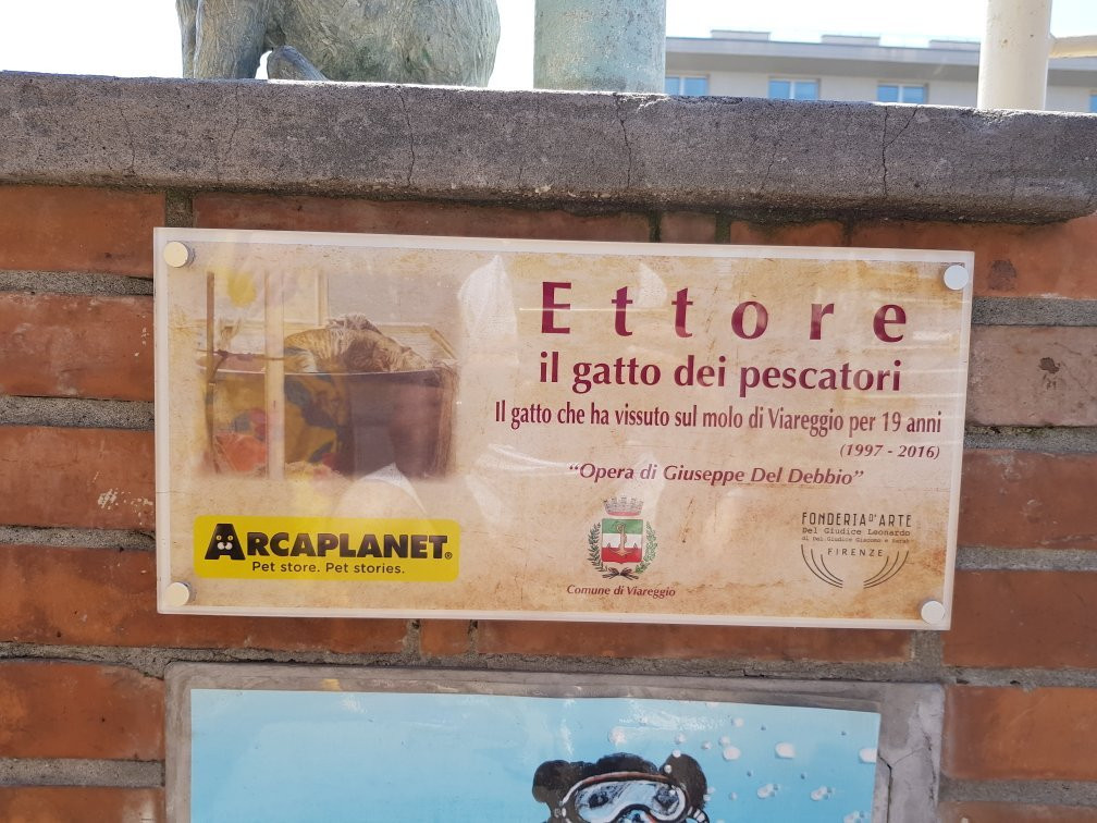 Statua di Ettore - Il Gatto dei Pescatori-维亚雷焦必去景点