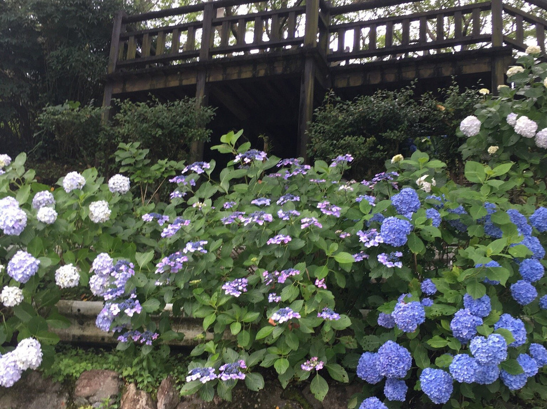 Ajisai Park-都城市必去景点