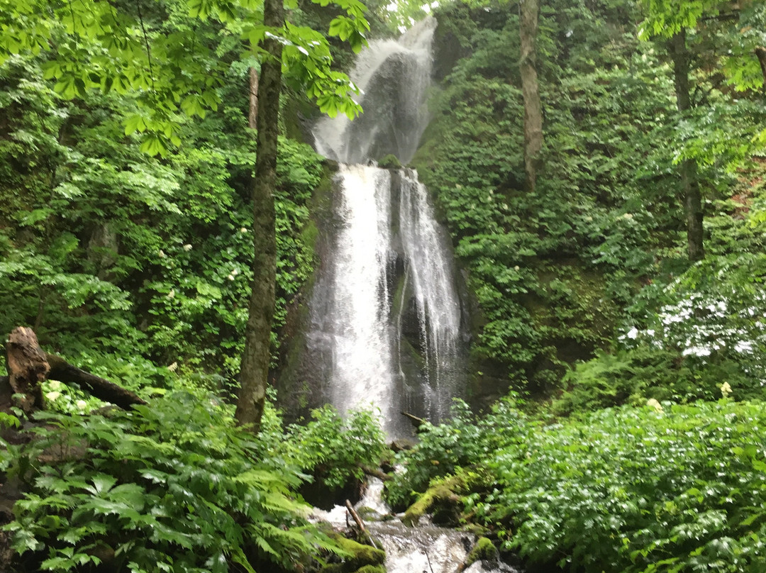 奥入濑溪-十和田市必去景点