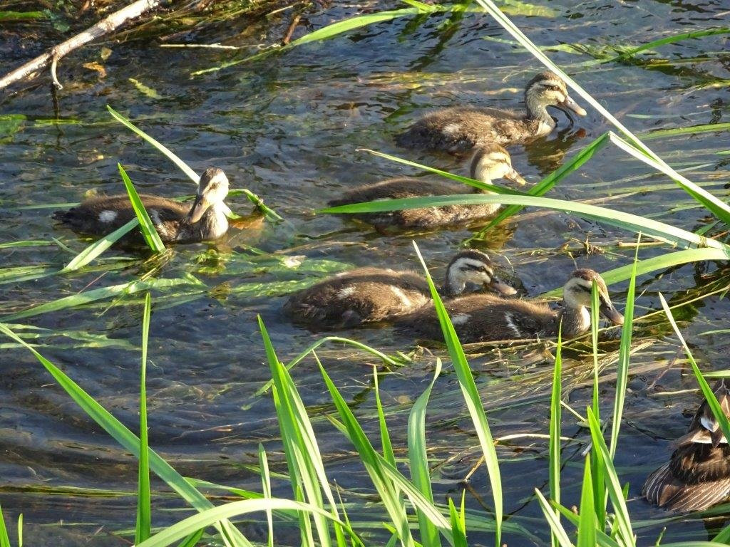 Yahoseki-国立市必去景点