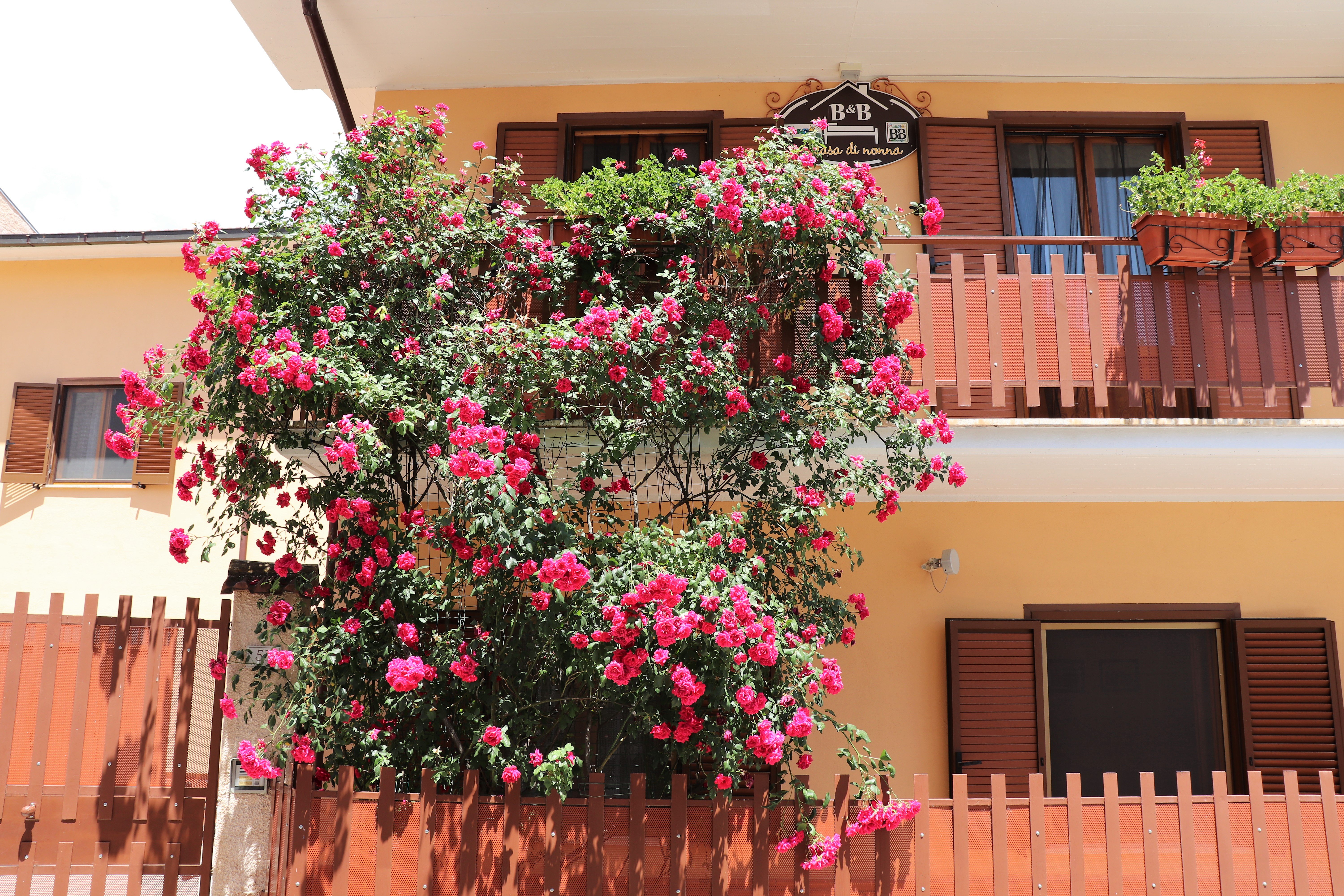 A Casa di Nonna-官方