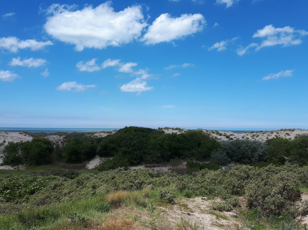 The Dunes of Bredene-布雷德内必去景点