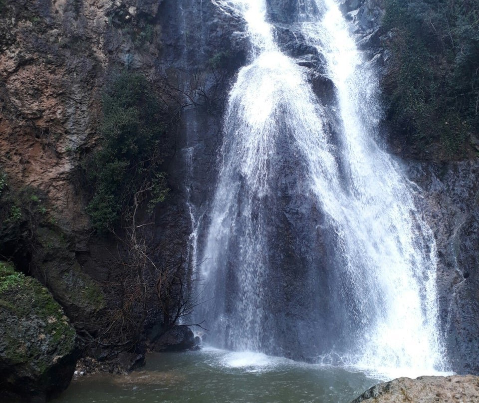 Hain der Daphne景点图片