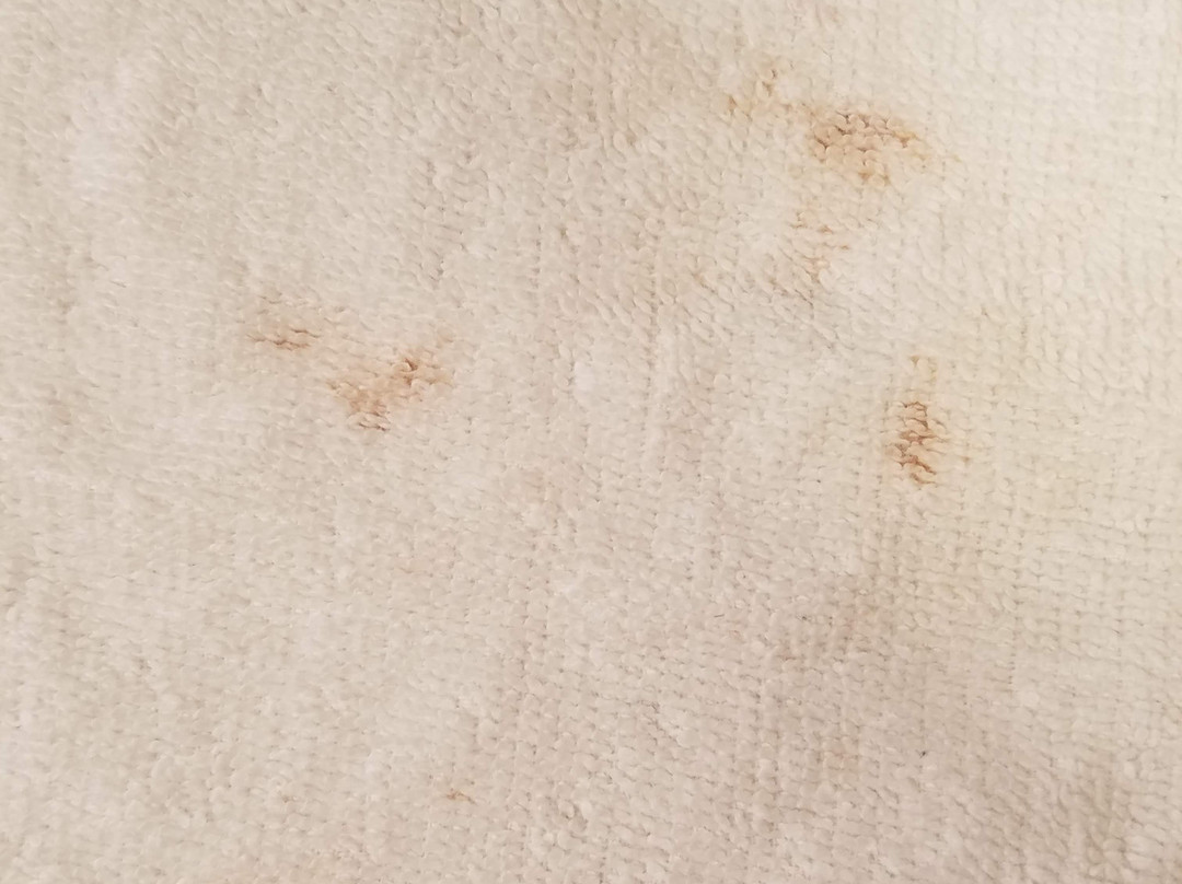 Home2 Suites by Hilton Murfreesboro主图