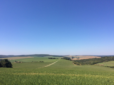 Buri旅游攻略图片