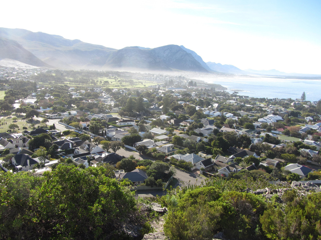 Hoy's Koppie-赫曼努斯必去景点