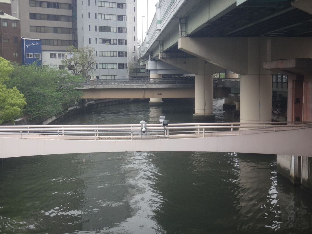 Higashiyokobori River景点图片