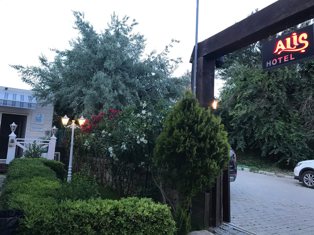 Alis Boutique Otel主图