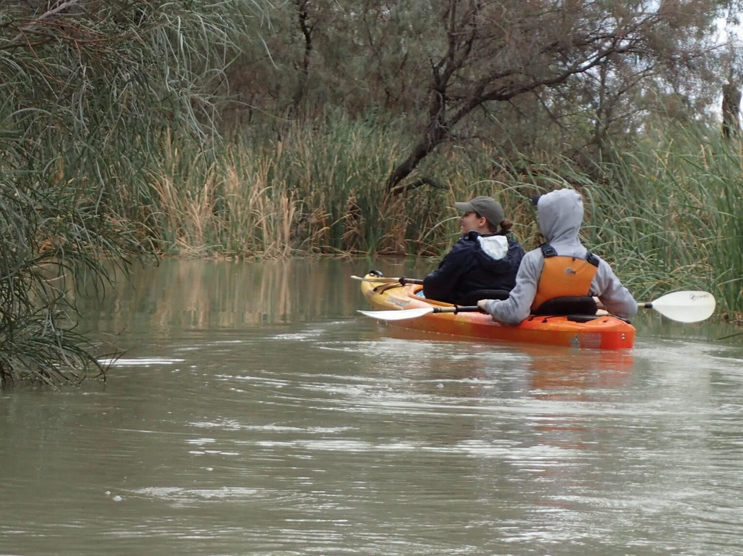 Canoe Adventures - Riverland景点图片