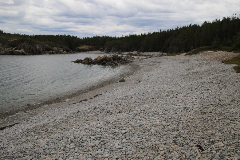 Lower Little Harbour Trail景点图片