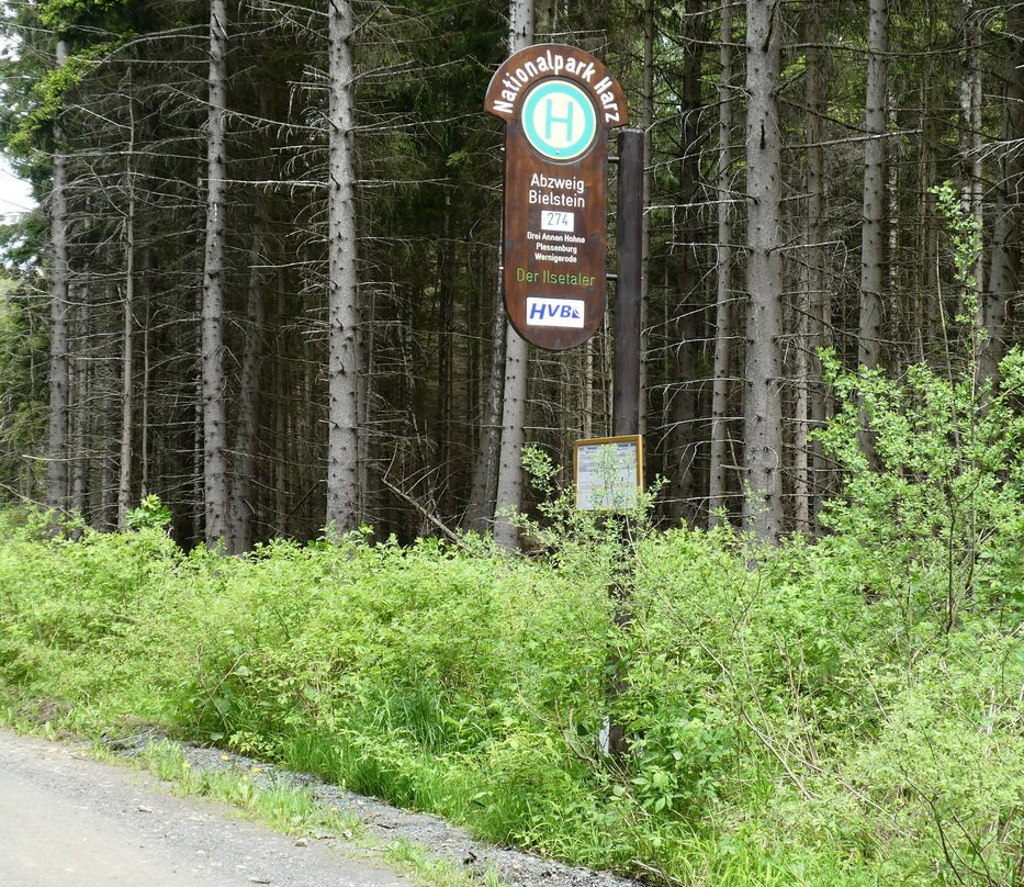 Harz National Park景点图片