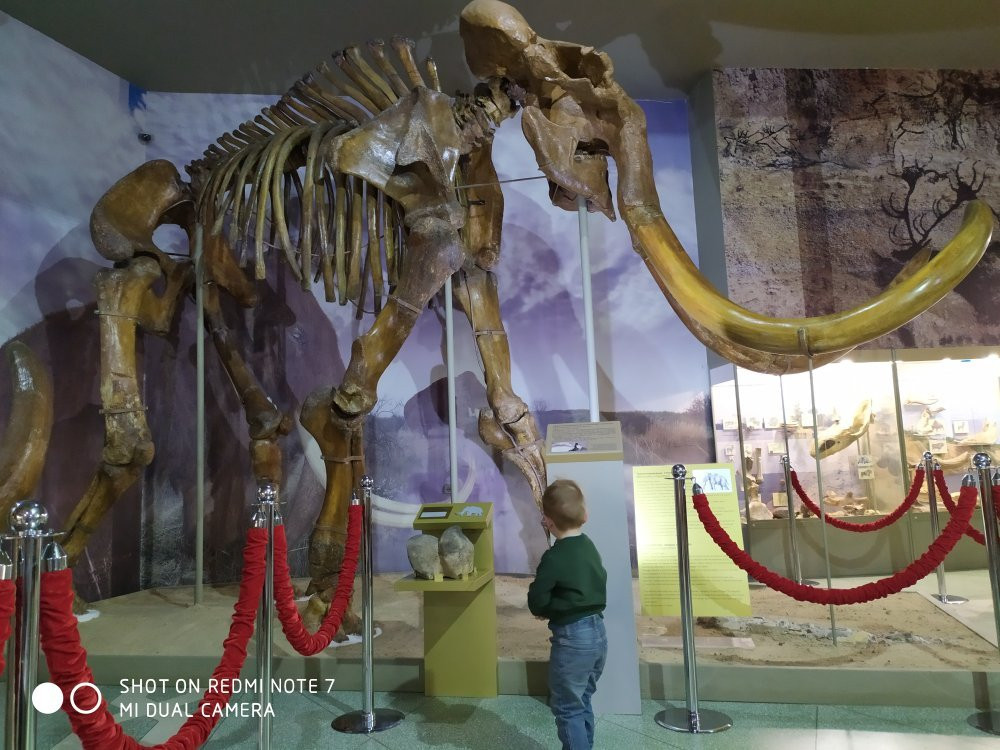 Azov Historical Archeological and Paleontological Museum-Reserve景点图片