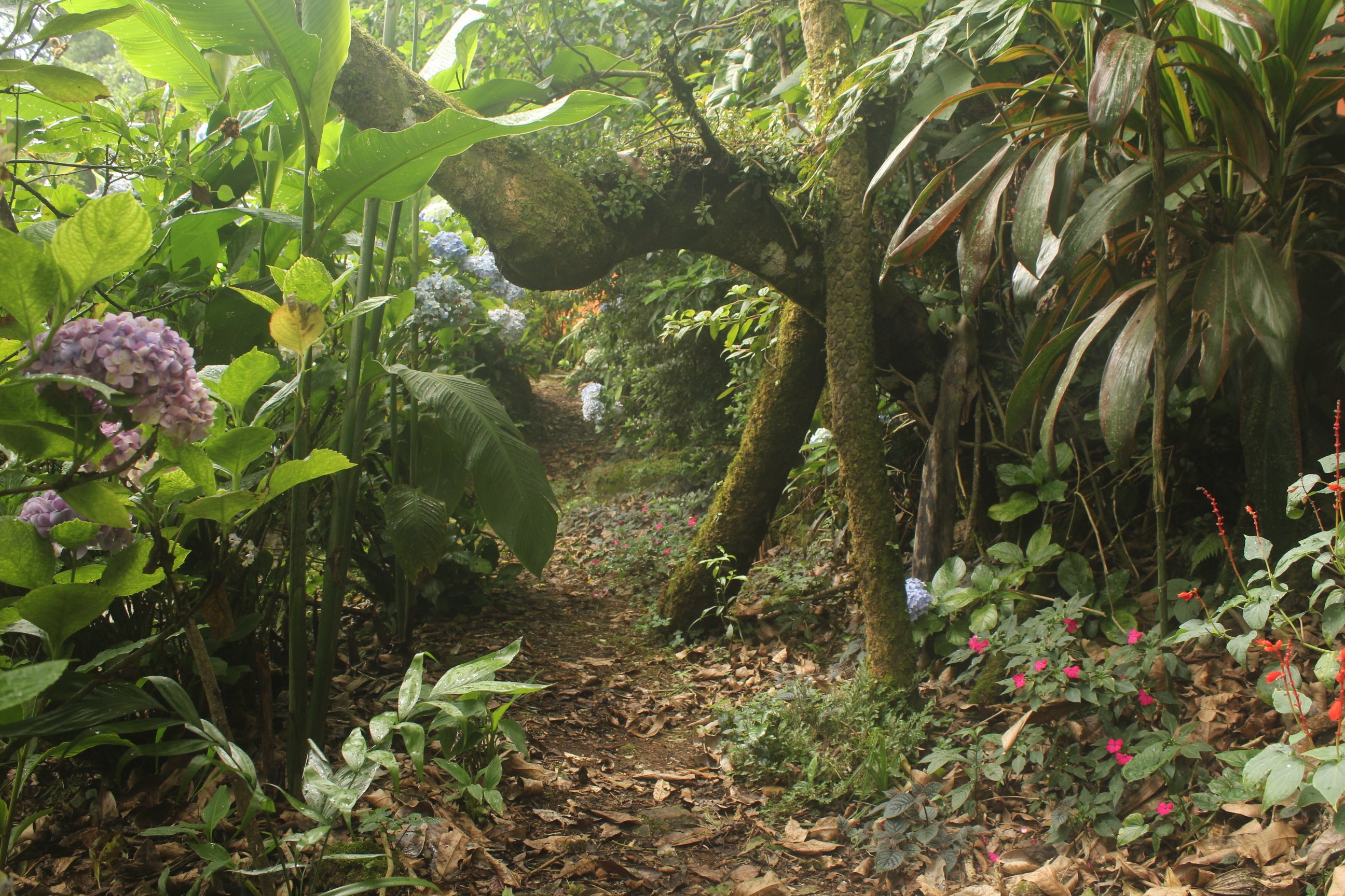 Hotel Taselotzin-浴室