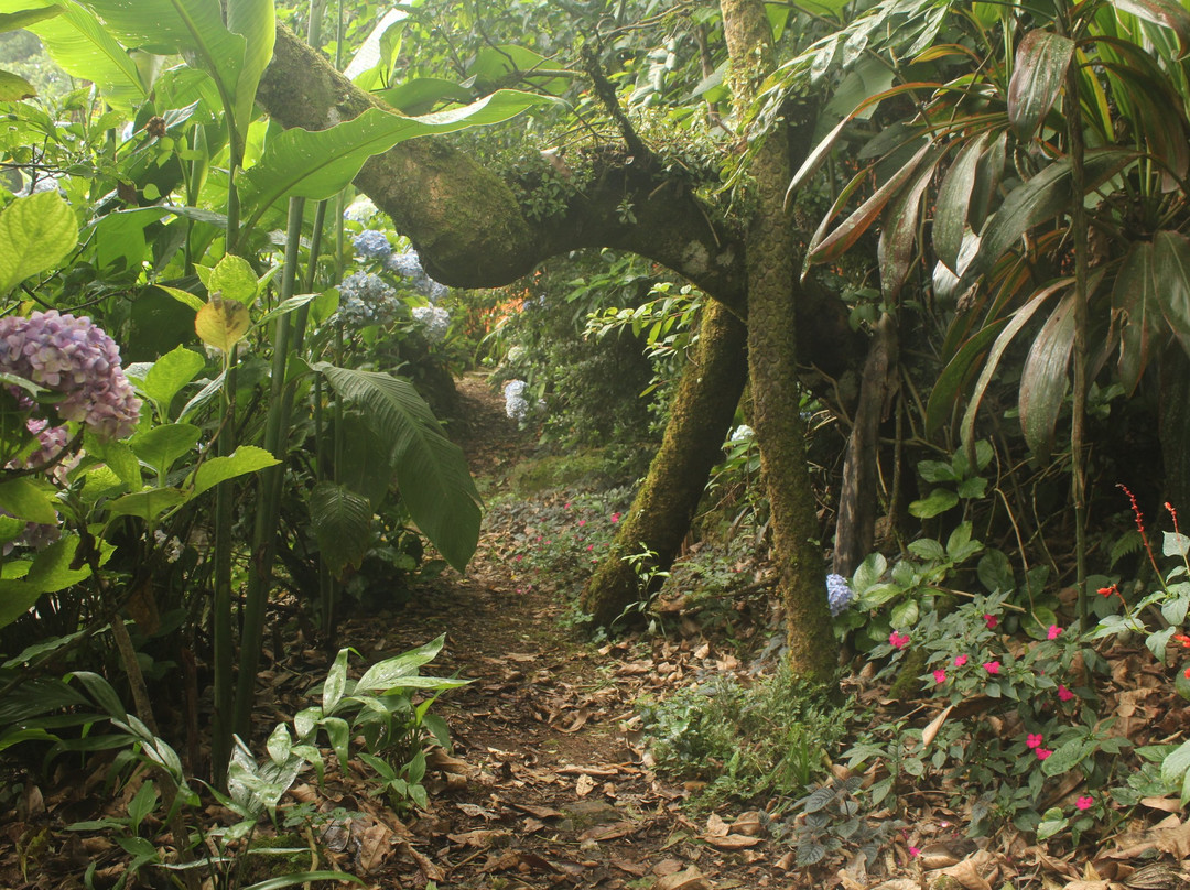 Hotel Taselotzin主图