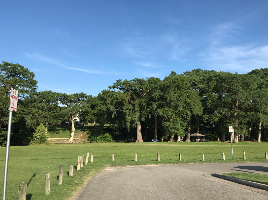 Cypress Bend Park-新布朗费尔斯必去景点