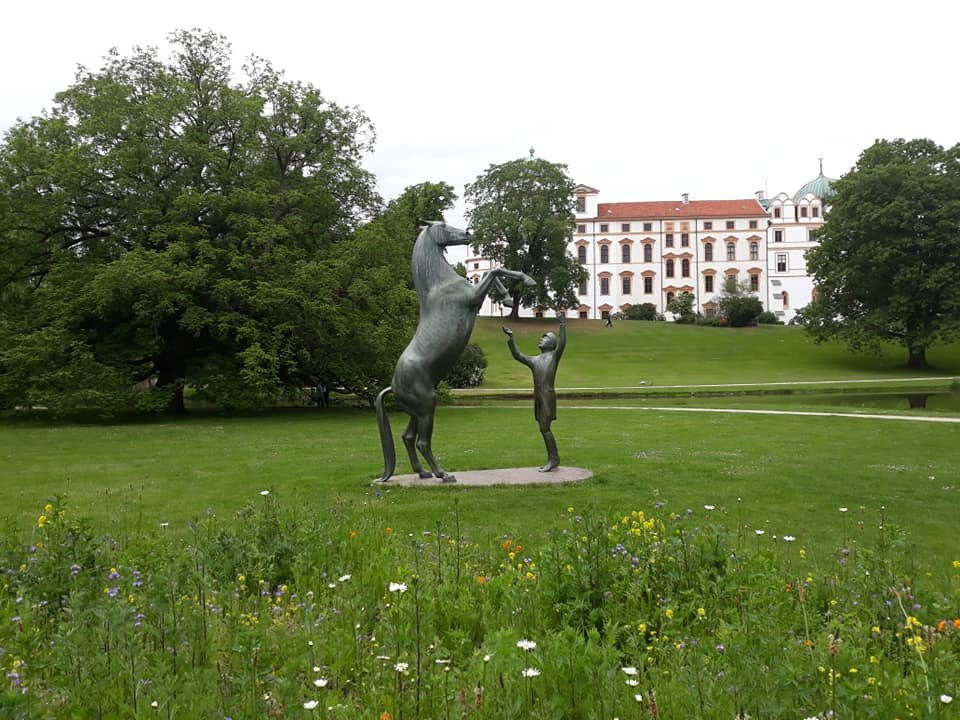 Hengst Wohlklang in der Freiheitsdressur-策勒县必去景点