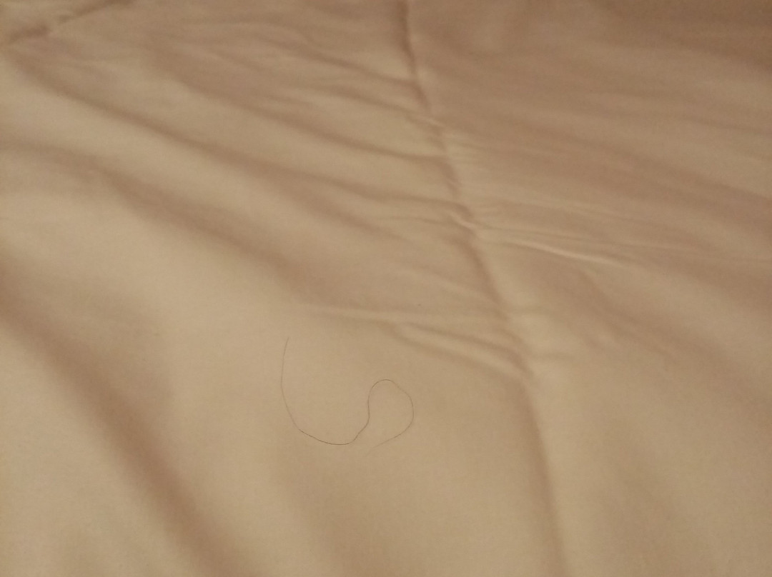 Ibis Lisboa Alfragide主图