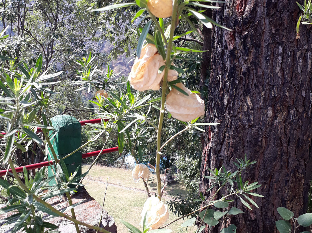 The Hermitage Kailash主图