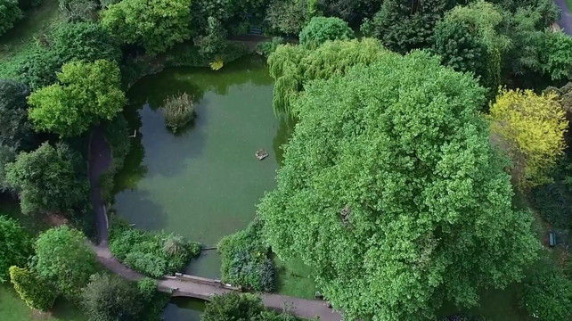 La Quinta INN & Suites Austin-Cedar Park主图