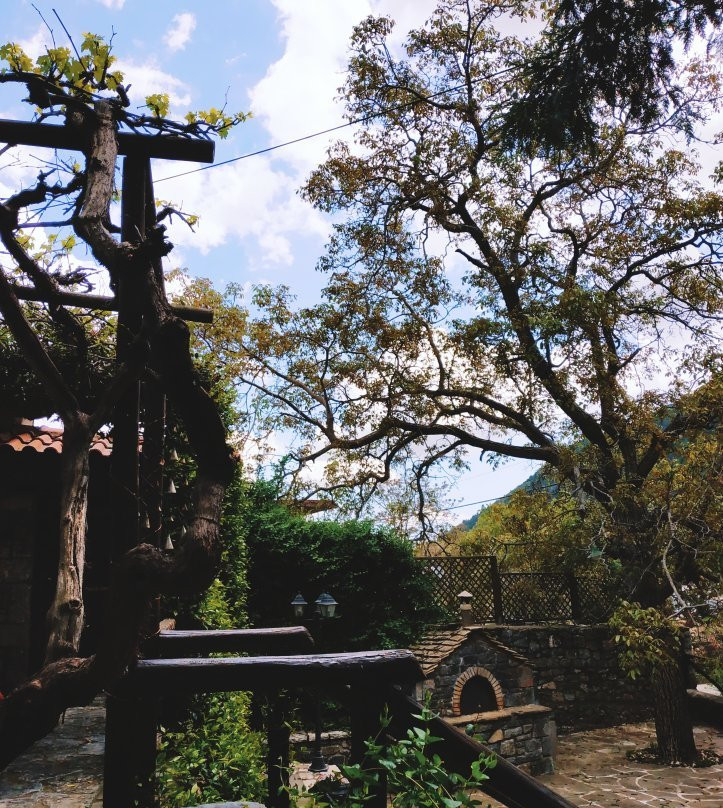 Kalogris Organic Winery-Kapsas必去景点