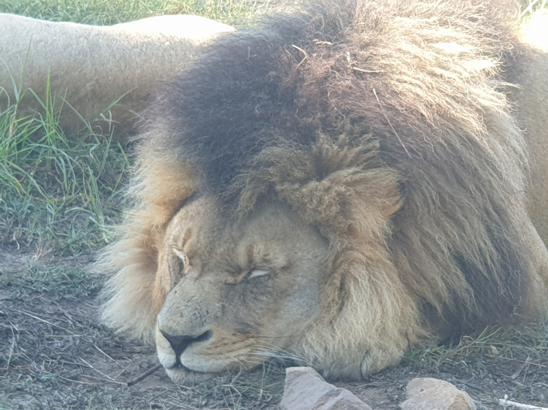 Fairy Glen Private Game Reserve主图