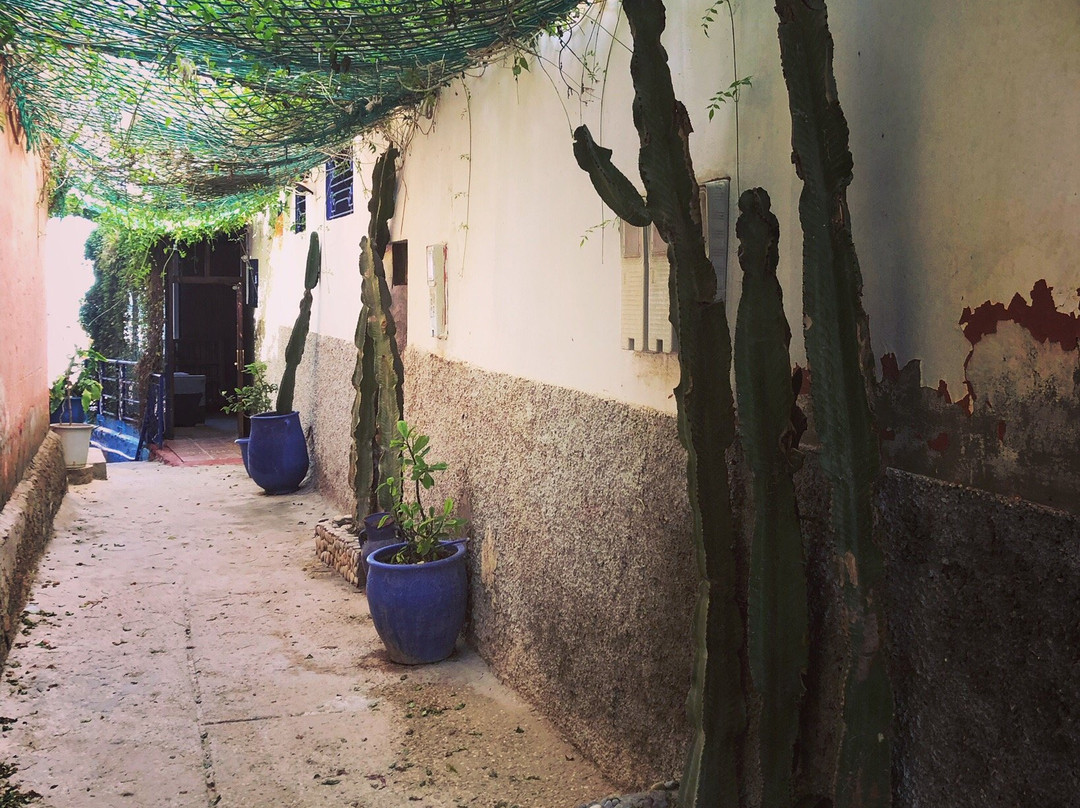 Aloha Surf Camp Maroc主图