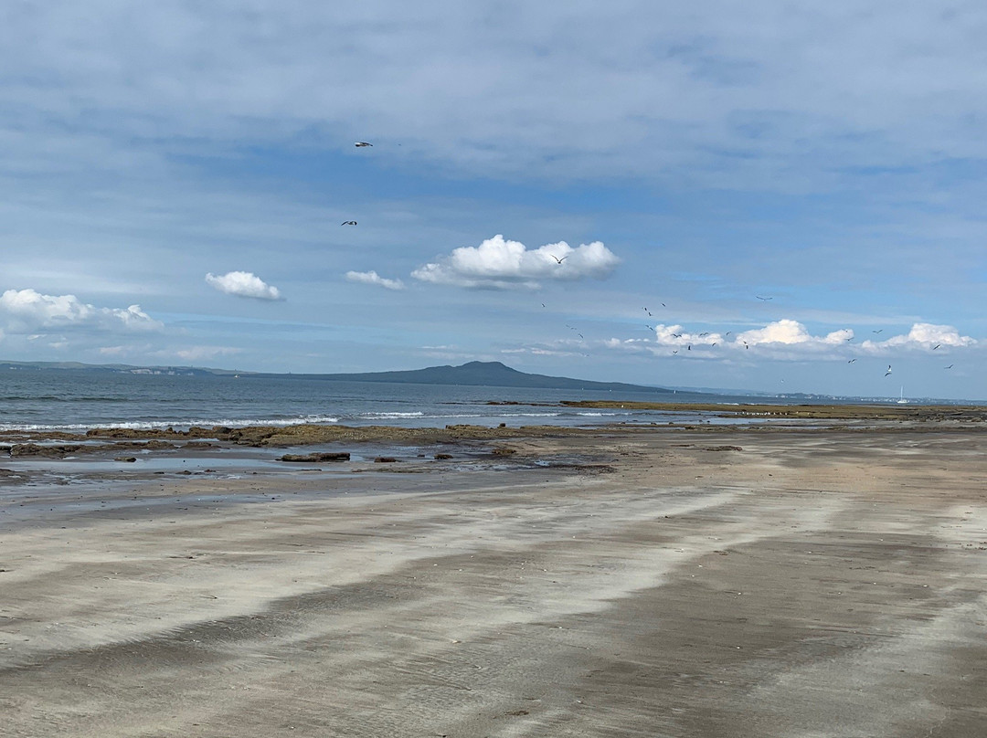 Browns Bay Beach景点图片