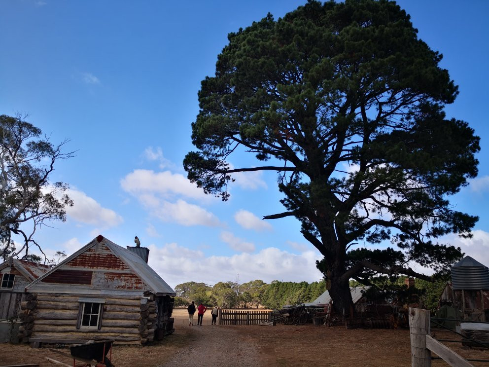 Spring Hill旅游攻略图片