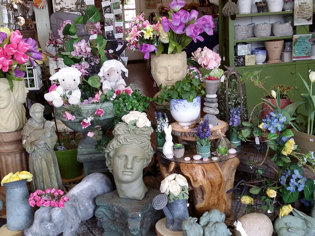 Nature's Treasures-Stockton必去景点