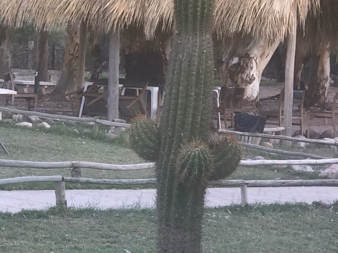 Termas de Santa Teresita-拉里奥哈必去景点