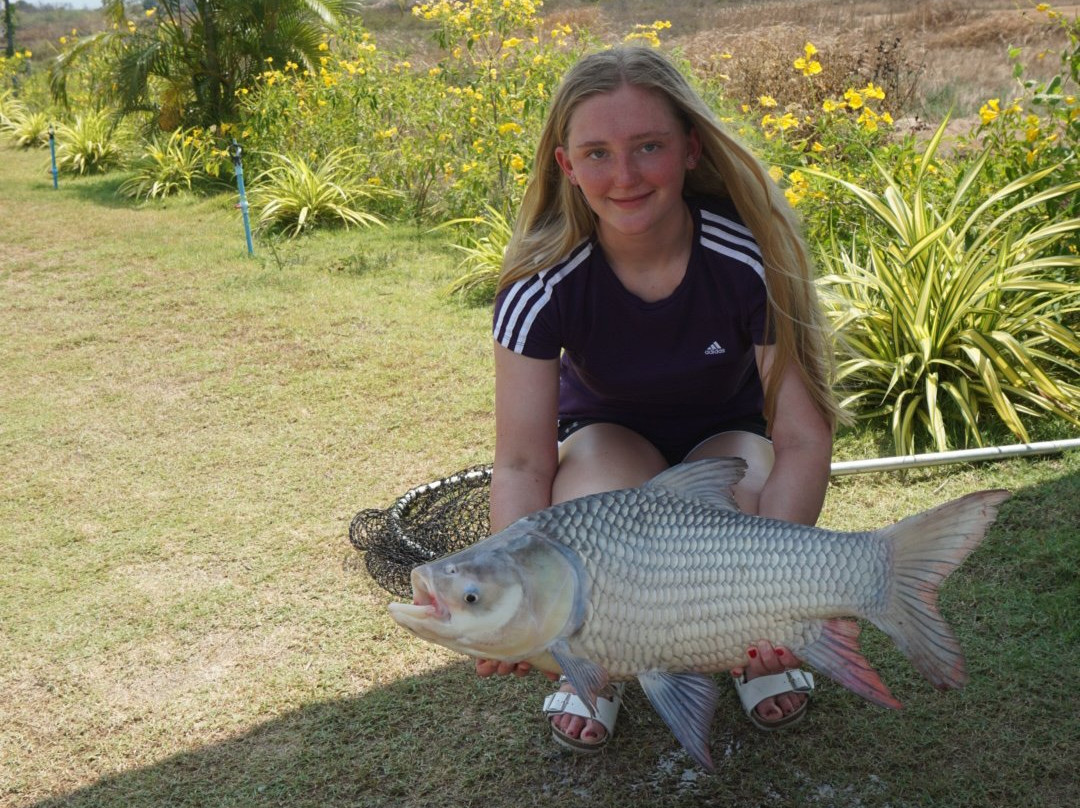 Elton View Fishing Park景点图片