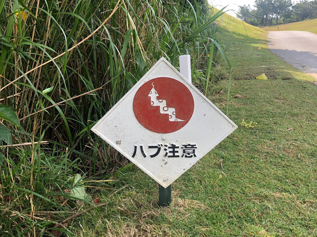 Ginoza Country Club-宜野座村必去景点