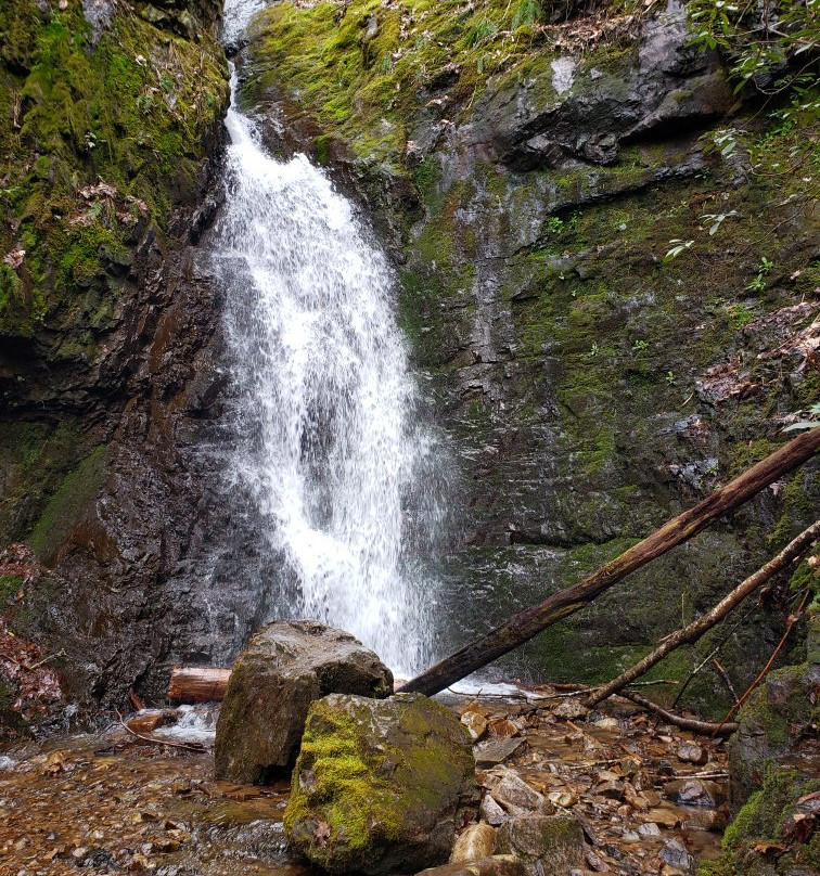 Backbone Rock Waterfall景点图片
