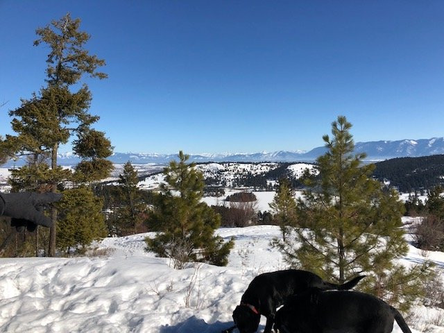 Herron Park-卡利斯佩尔必去景点