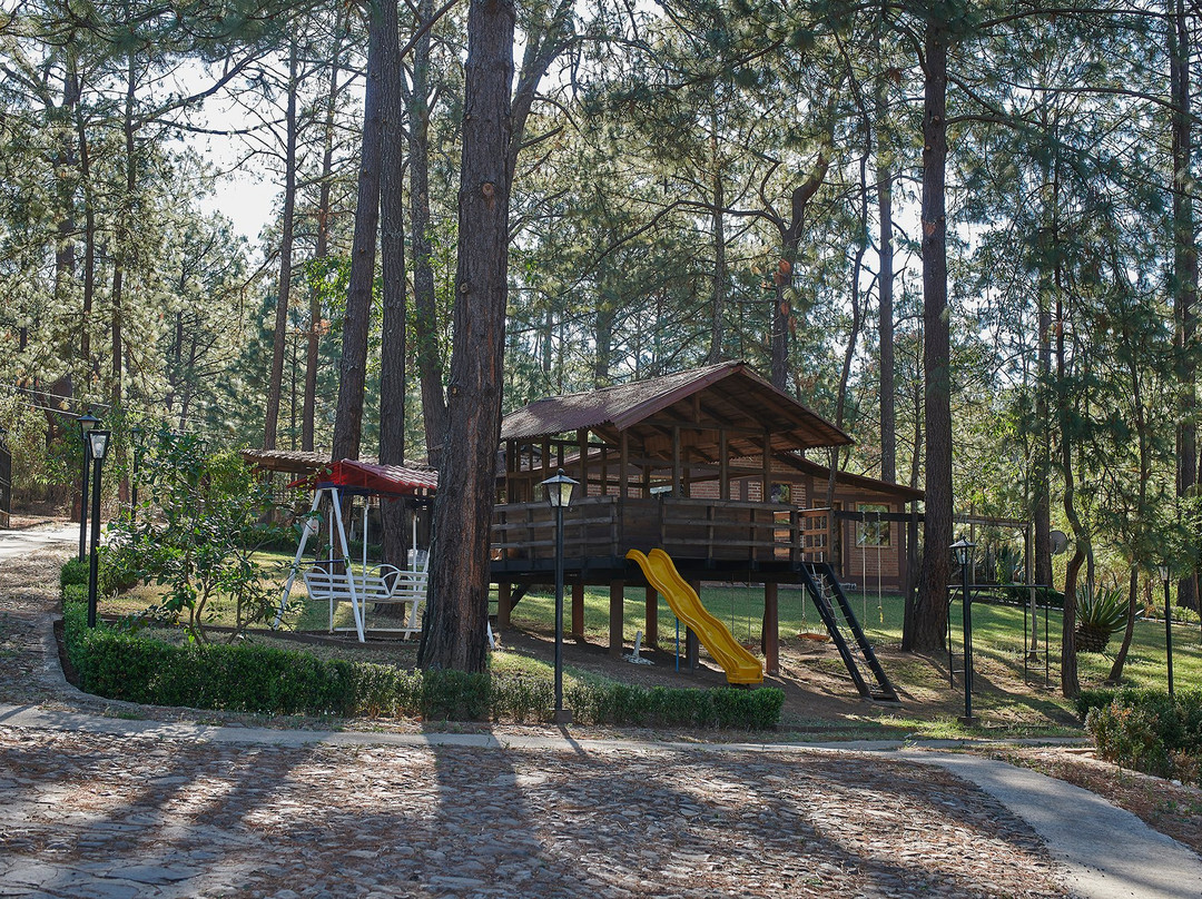 Rincon del Bosque